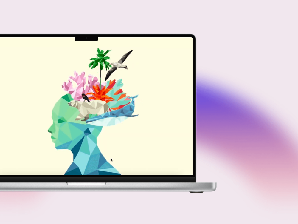 67a40effc8ea05746a00bcf1_Shots_Mockups.png